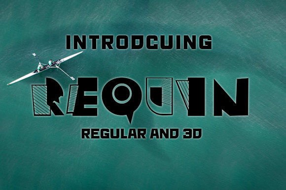 Requin: A Bold Display Font with Personality and Purpose